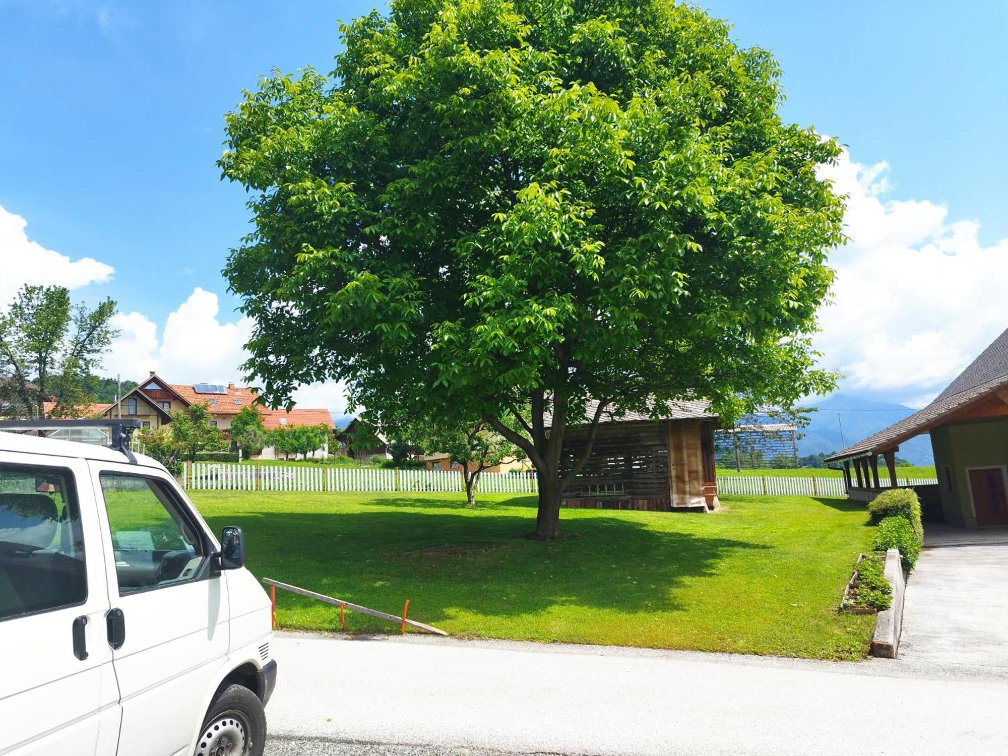 Tree Apartment Bled Ngoại thất bức ảnh